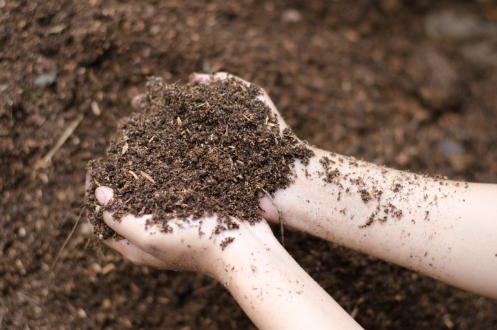 Manfaat tanah humus, Kesuburan tanah, Tanah subur, Nutrisi tanaman, Retensi air tanah, Pertanian organik, Kualitas produk pertanian, Mikroba tanah, Erosi tanah, Pengurangan pupuk kimia